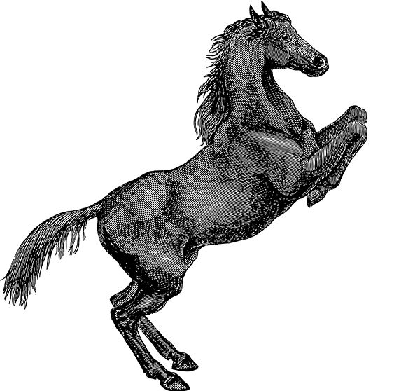 jiuyou