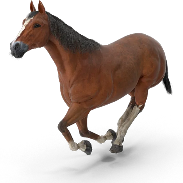 jiuyou